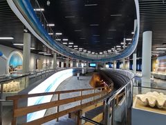 -天津古林古海岸遗迹博物馆