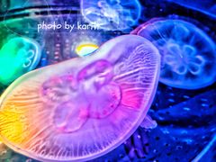 -太平洋海底世界博览馆·展览厅