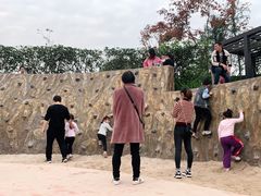 -铁山坪森林公园