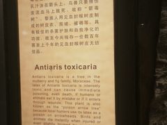-海南槟榔谷黎苗文化旅游区