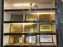 -点石家装(总部旗舰店)