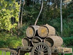 -北京张裕爱斐堡酒庄