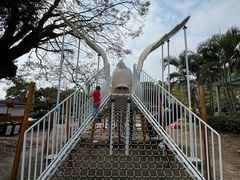 -大湾区中央湿地公园