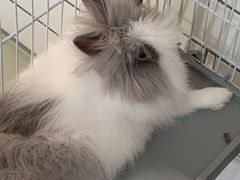 -小意思咖啡店(草桥店)