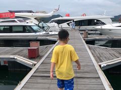 -千岛湖希尔顿休闲艇俱乐部