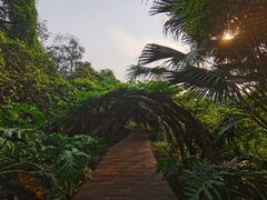 -广西壮族自治区药用植物园