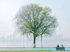 -武昌江滩