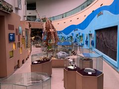 -陕西自然博物馆