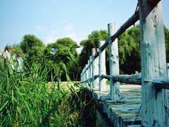 -哈尔滨商业大学(南校区)