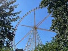 -石家庄市动物园