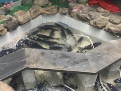 -春盛渔府(牛首山店)