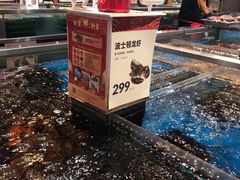 -盒马X会员店(王府井奥莱UP TOWN店)