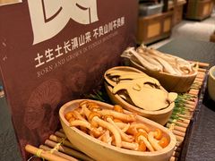 -季季山·云南野生菌火锅(上海首店)