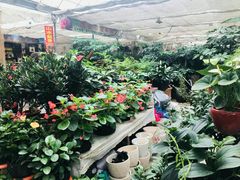 -秦美花卉(天朗·莱茵小城2期店)