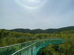 -陶祖圣境风景区