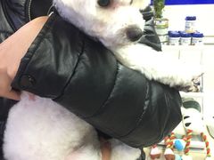 -宠颐生中康贝怡动物医院