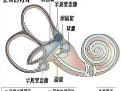 -自然之声助听器(平凉店)