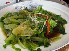 白灼罗马生菜-同发号饭庄(复兴路店)