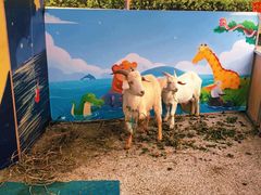 -苏州海洋馆