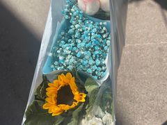 -循礼门鲜花花市(武汉循礼门店)