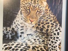 -罗红摄影艺术馆