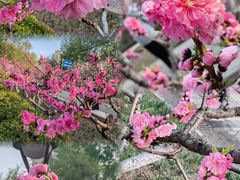 -海棠花溪(元大都城垣遗址公园)