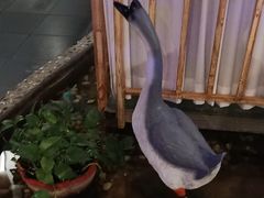 -醉霖生态餐厅(交大店)