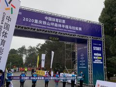 -铁山坪森林公园