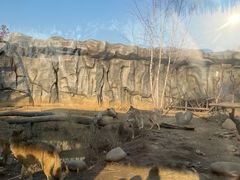 -武汉动物园