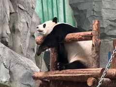 -泉城欧乐堡梦幻世界