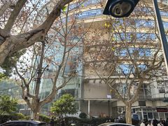 -复旦大学附属华山医院(总院)