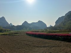 -靖西鹅泉风景区