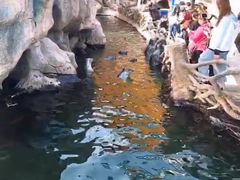 -西安华夏文旅水世界