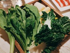 -汤城·料青山
