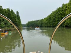 -上海海湾国家森林公园