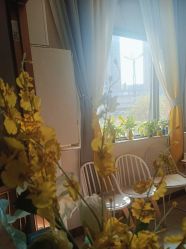 -尚艺造型.剪烫染.接发