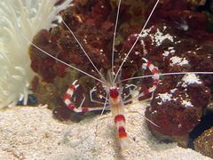 -太平洋海底世界