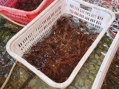 -刘记鱼馆(东平店)