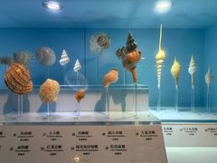 -温州博物馆