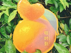 -奈雪的茶(广州万菱汇PRO店)