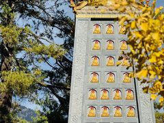 -冕宁灵山寺