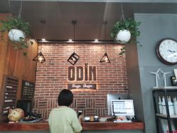 -ODIN 奥丁形象设计 