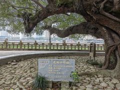 -江心屿景区