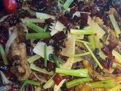 -老板恋上鱼(恒隆广场店)