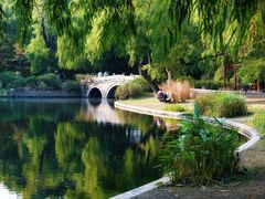 -上海共青森林公园