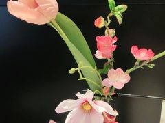 -哈根达斯(虹口店)