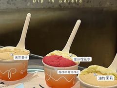 -Dip in Gelato(富民路店)