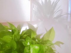 -首秀·四川料理(星耀101店)