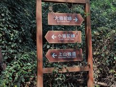 -大岭沟猕猴桃谷风景区