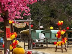 -龙岩森林水乡景区